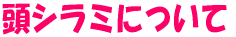 ���V���~�ɂ���