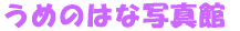 ߂̂͂Ȏʐ^ 
