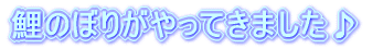 ̂ڂ肪Ă܂