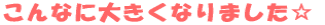 Ȃɑ傫Ȃ܂