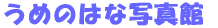 ߂̂͂Ȏʐ^