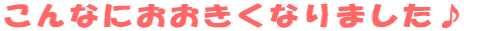 ȂɂȂ܂